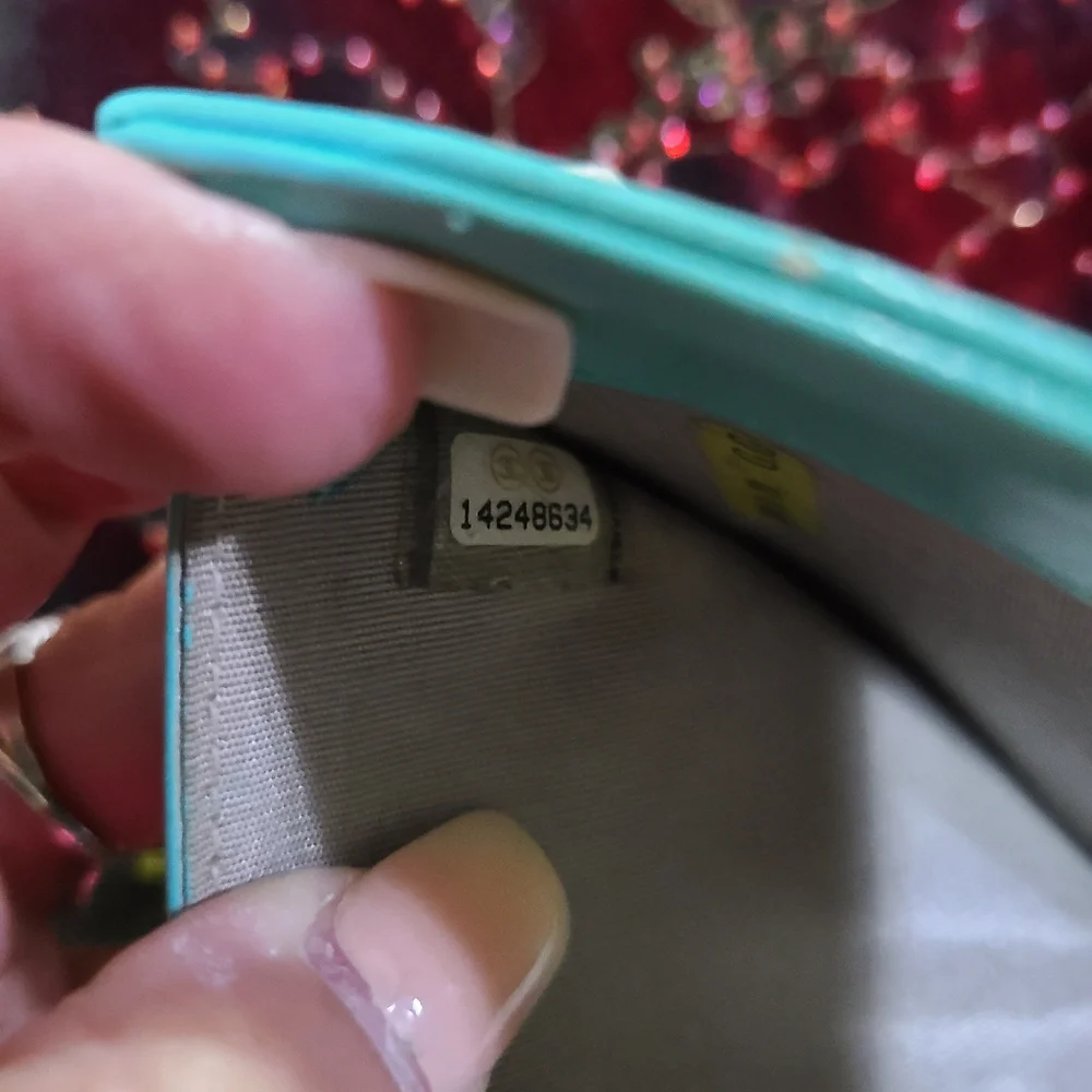 Chanel Iridescent Wallet - Picture 13 of 17